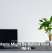 Houseplants Might Be Behind Your Sluggish Wi-Fi