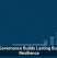 Data Governance Builds Lasting Business Resilience
